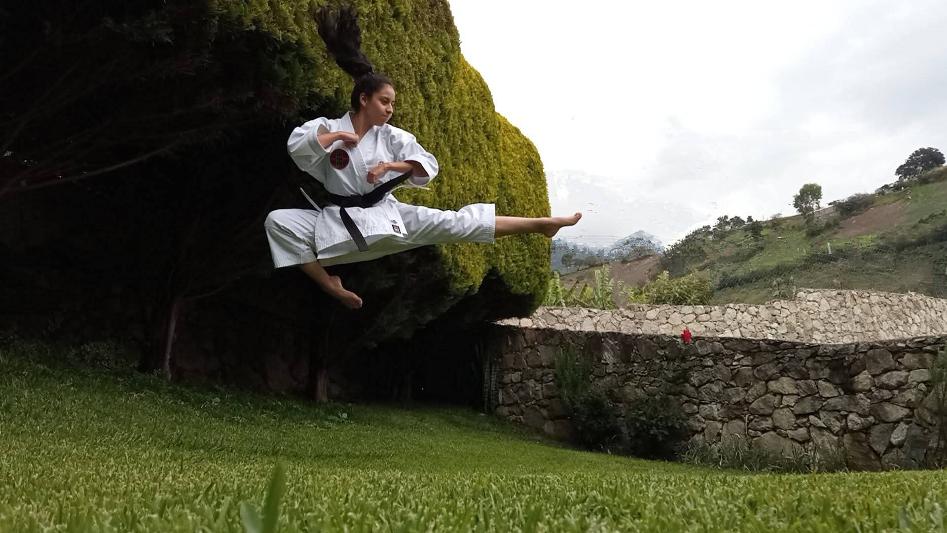 Karate Sensei
